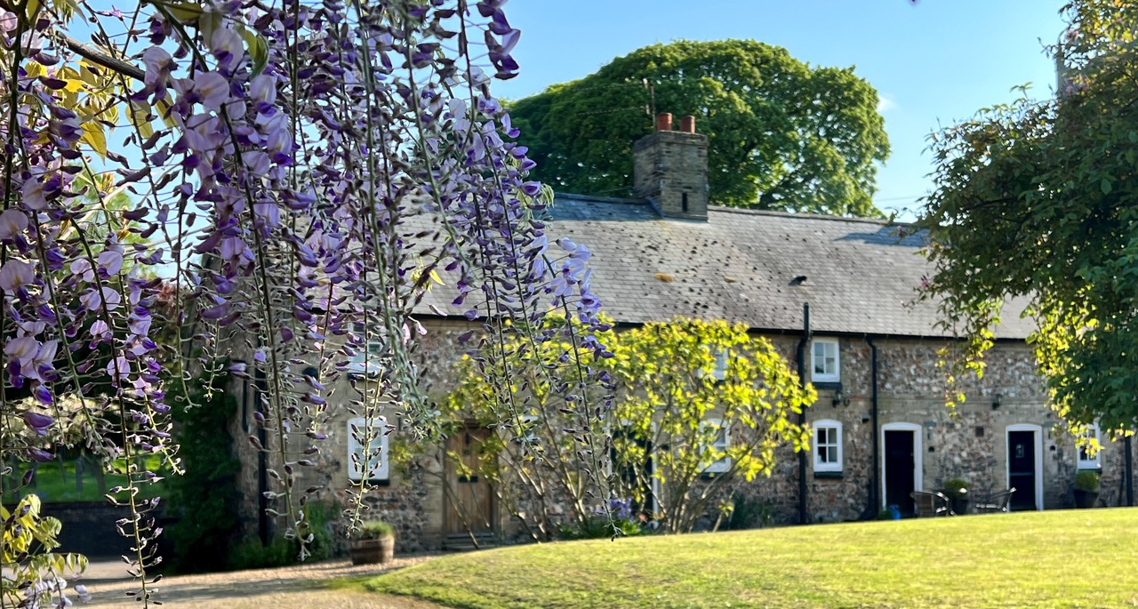 The cottages on a sunny day in Swaffham